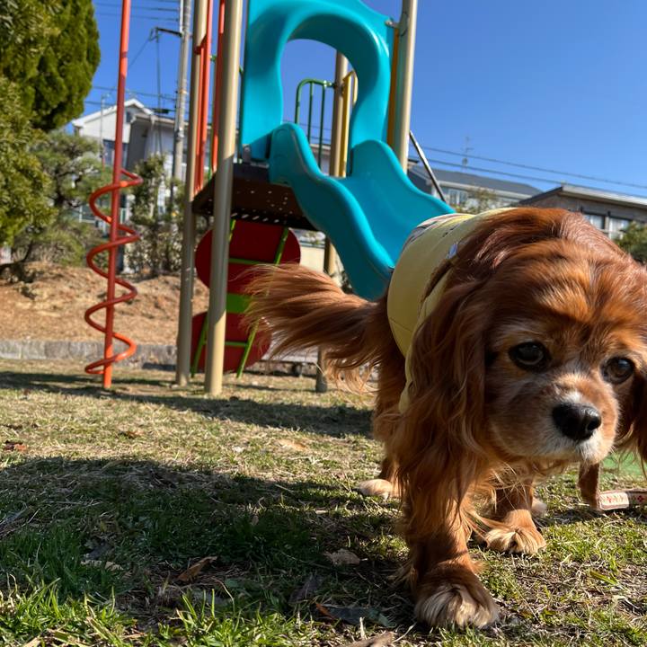 B8b4cd5f e219 4ce6 811a d450d8686a1b 1742430681820