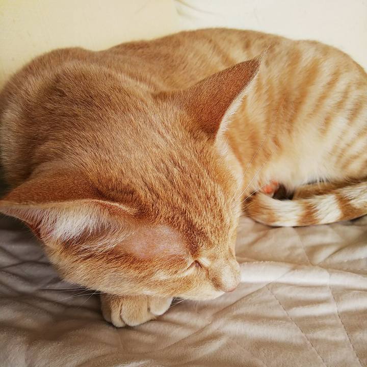 B8b4cf35 3609 4cbe 94ee d48f0da0cc68 1555367958557