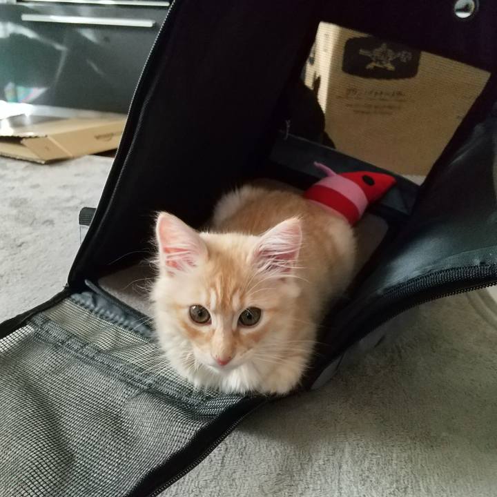 B8b51869 8af0 47f5 a0c2 72ef5fd39e8e 1605920362048