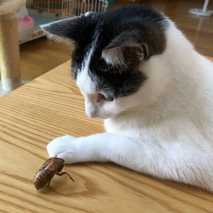 B8b520b1 98cd 4e9d a1fe 455bc6ddafd8 1689891021279