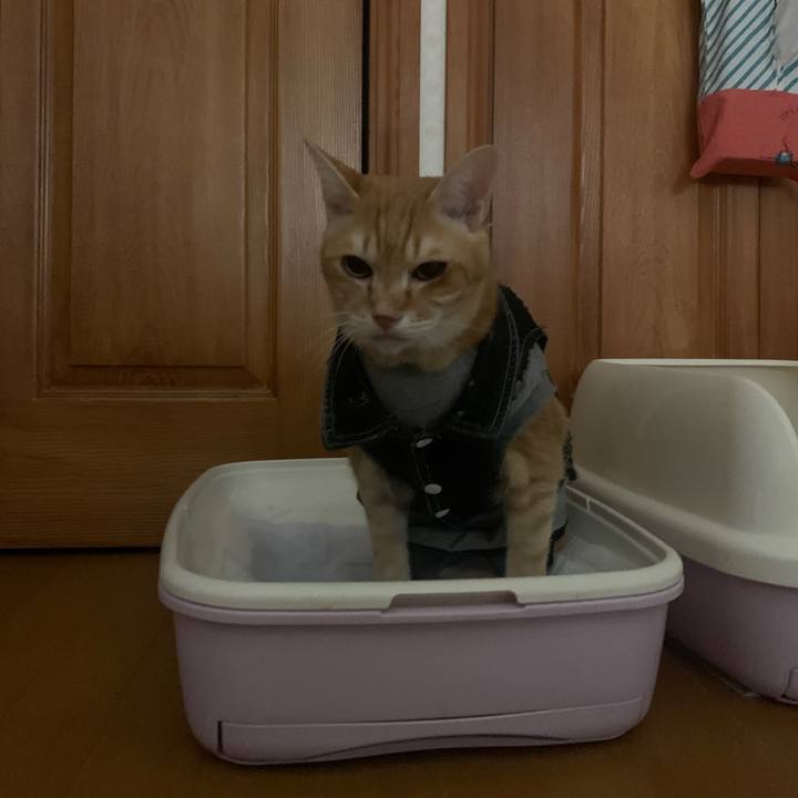 B8b5f4a0 5af9 46b8 91b4 4eae19a37f7e 1643922434474