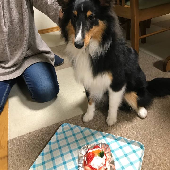 B8b60d80 c8f6 482e 9b39 8e9704f0fc86 1521767871094