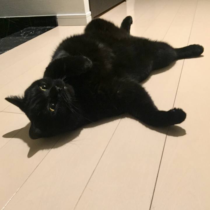 B8b62aec 28a4 4aea 8a08 cdf0735793c6 1569149673317