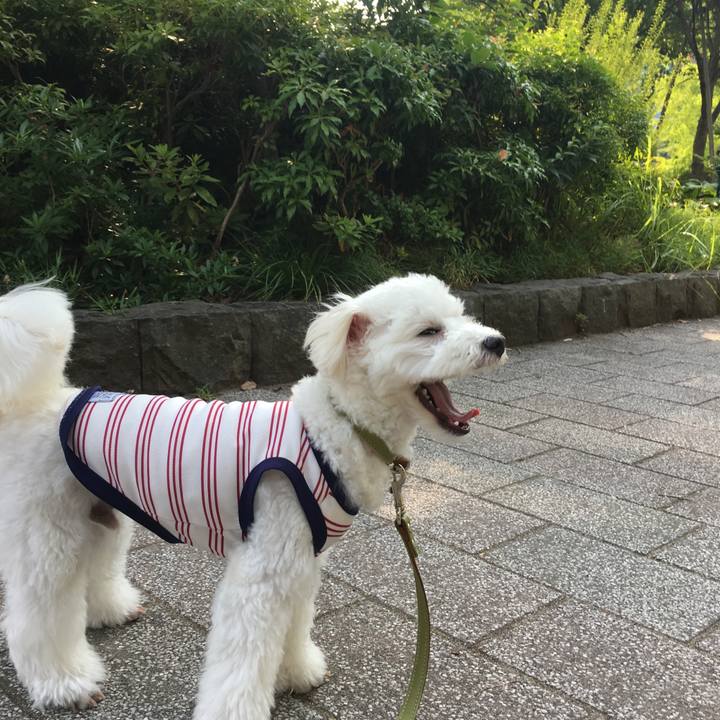 B8b630fd 199b 404e 87bb 77b751936e76 1531870459489