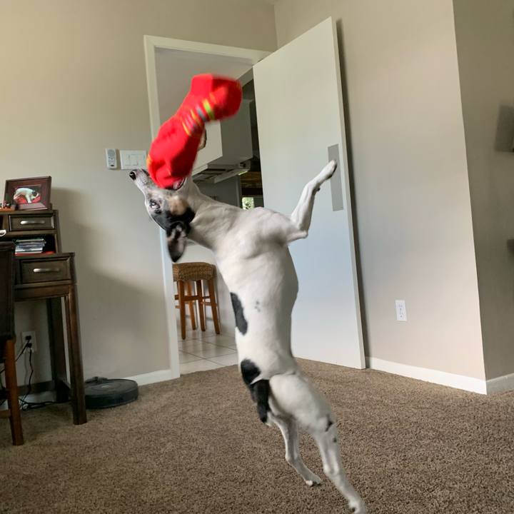 B8b640f6 0760 4280 9954 14f51cb050fb 1597269503080