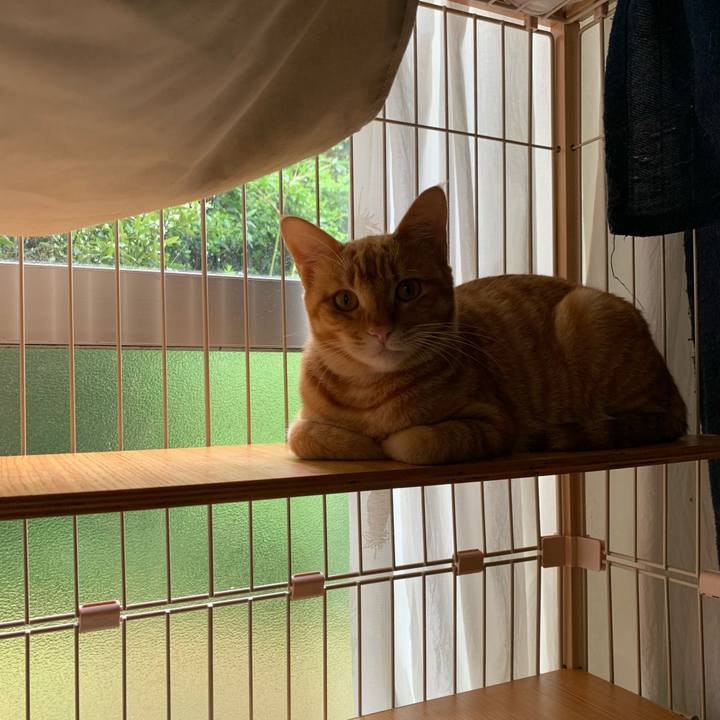 B8b645a2 9fdc 48a3 a6c5 e23f3a422bdf 1690161183840