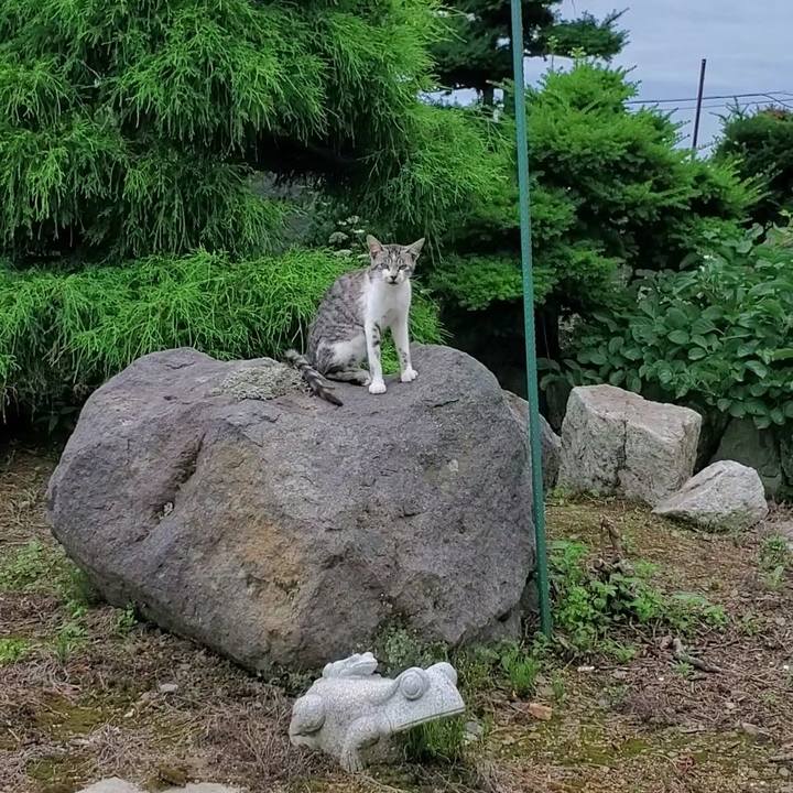 B8b664a0 a738 4984 a71b 6ac3a84b160f 1724403698403