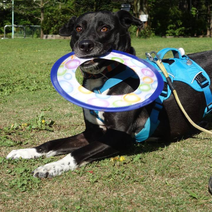 B8b66621 c4ae 4d60 941b f31a3810b872 1618451844954