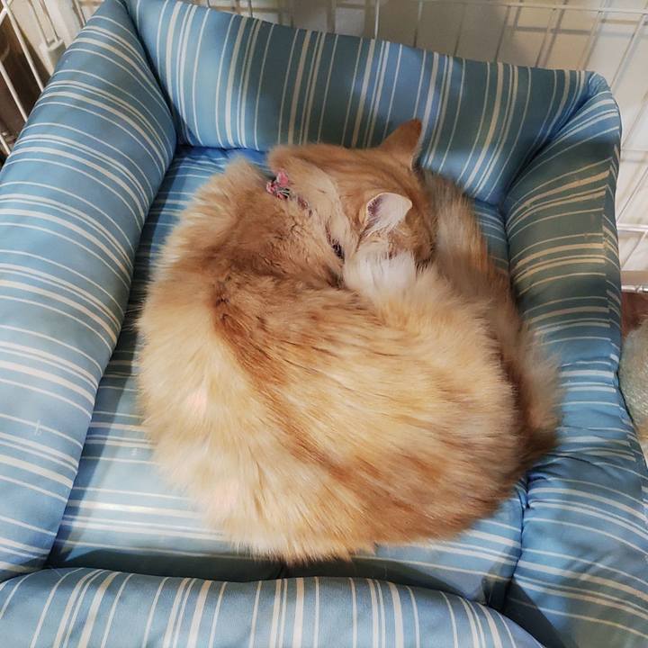 B8b699ce 5f24 489e be17 aa4bdfd7909e 1703079035418