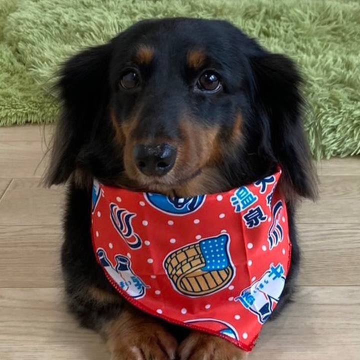 B8b6a3c4 9e59 4e57 9757 7629f46926d0 1699072817392