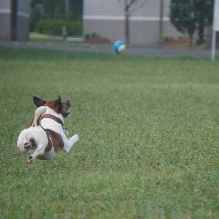 B8b6c7e2 86b5 419b 962f 7d3d313563e9 1570058115168