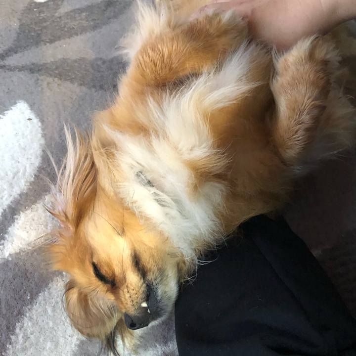 B8b6ed5a e714 4b69 b07d 779e240addf0 1559943149255