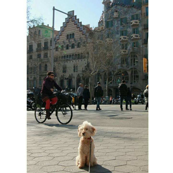 B8b70113 38ae 4c0b bbad b7e4ebfc2068 1582495883637