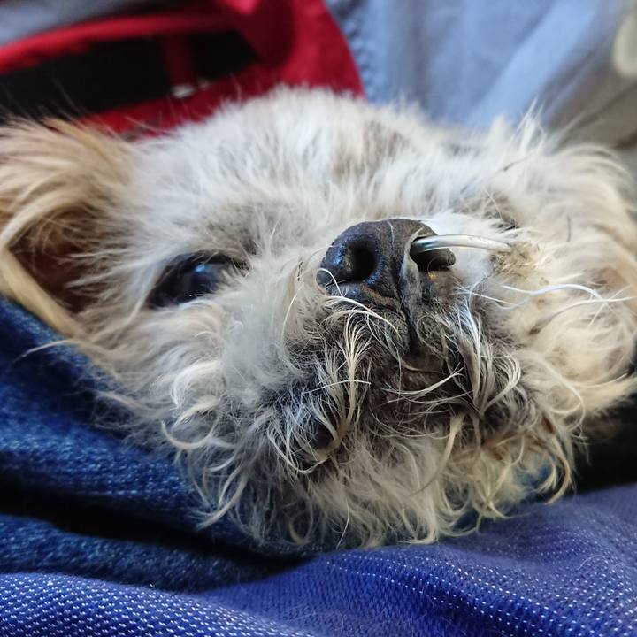 B8b71754 d24d 4e00 a1ca 19cf505c868a 1542685882626