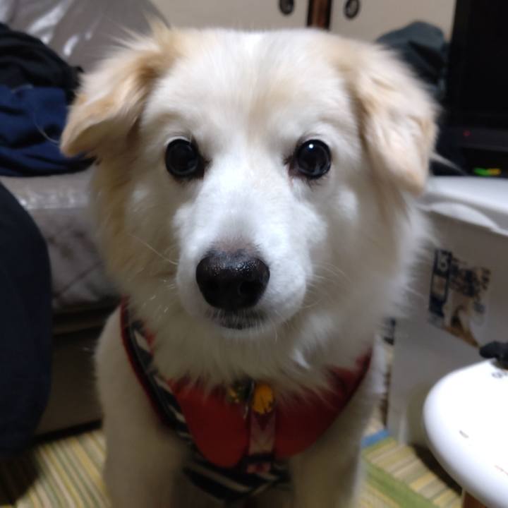 B8b72f42 b5a2 4178 9470 91f742c72d83 1641760764044