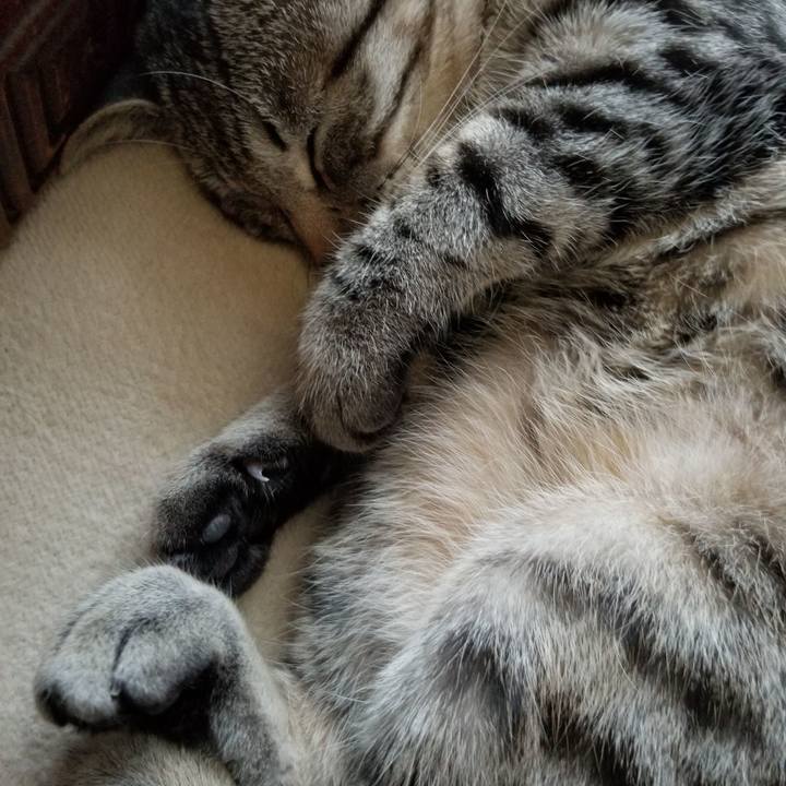 B8b73f29 9e8f 4624 a2ef 09fc6c513db8 1674569182305