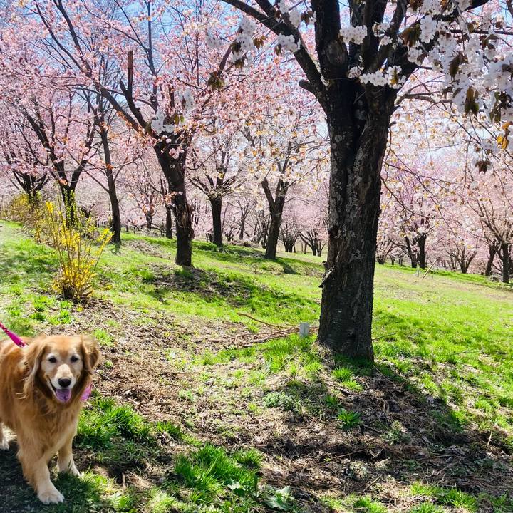 B8b76502 f9c4 4085 86fa f2f5bf614b5a 1777189303444