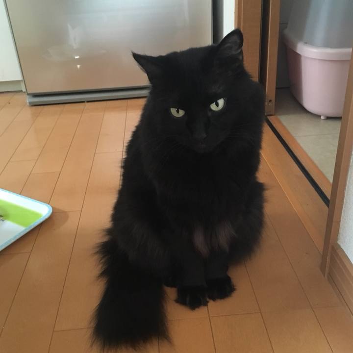 B8b77b77 c7d3 498e 9849 4622e635369b 1533621070236