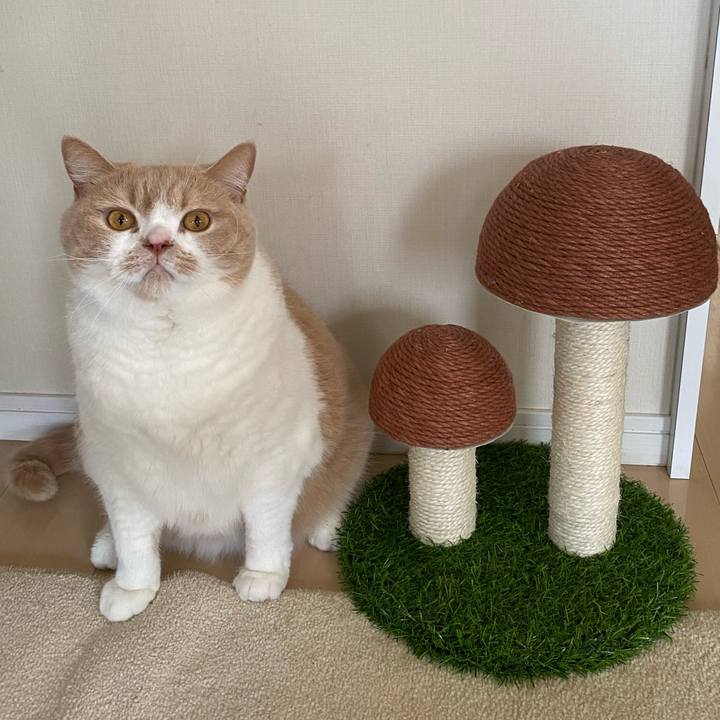 B8b7b739 d41e 42a4 b576 ac1fa7b5f3d5 1633047343905