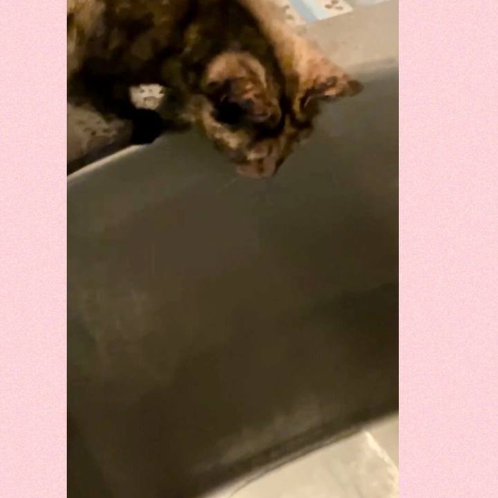 B8b7f8f8 43e0 4de7 ab22 27a109af00b7 1743099299811