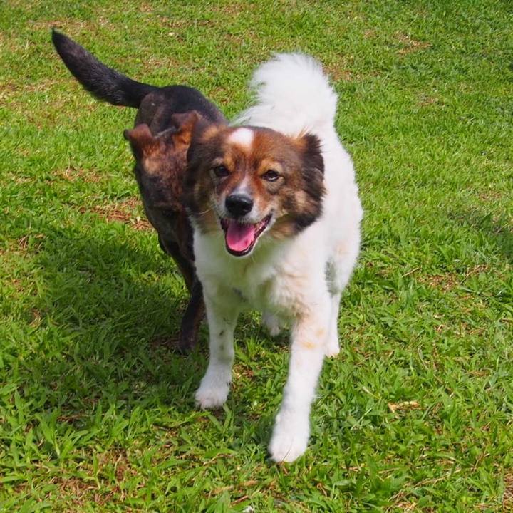 B8b83631 9526 49a5 b1f5 b3876b43a025 1555674998049