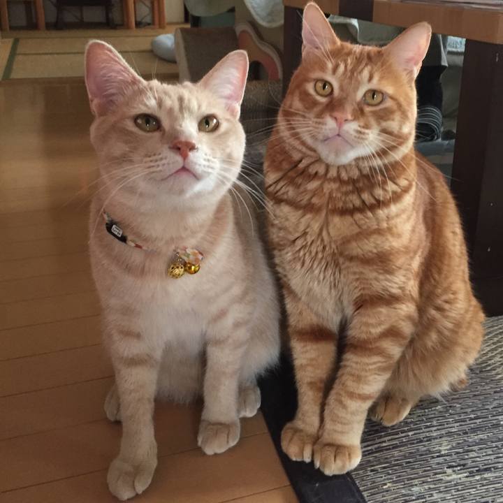 B8b83805 77fe 4df2 b334 70a751163ec3 1565598603833