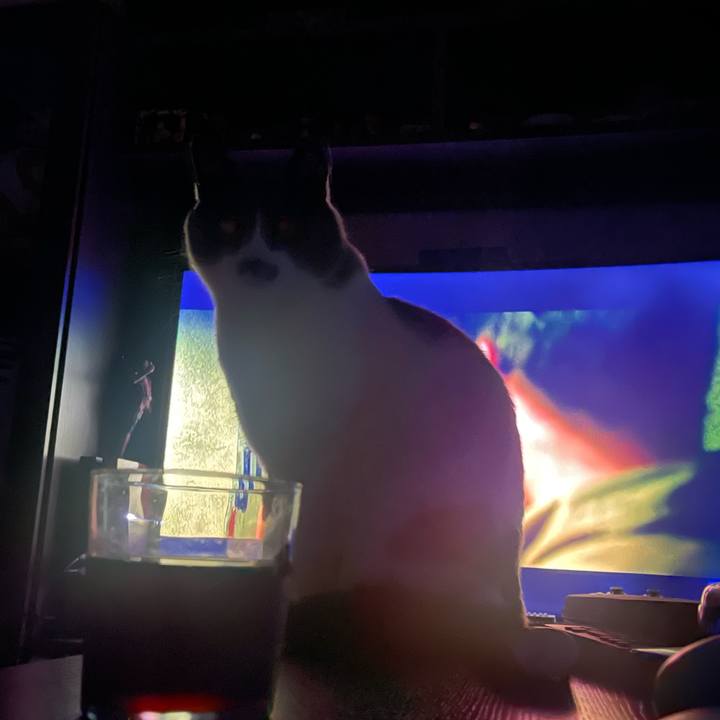 B8b8561d cabc 42ae 900d 2350a214e595 1676044367163