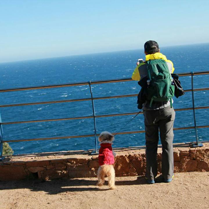 B8b876d6 8359 4845 a323 19a04a54929d 1579614500083