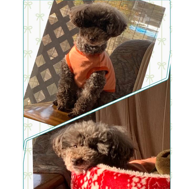 B8b887c1 47c5 47b8 8b1c cfadf2685231 1587508947947