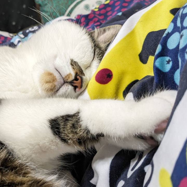 B8b8a7b8 e067 4580 a17f 175840aaeb13 1710639666359