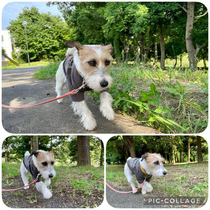 B8b8f3d7 9eeb 4ed1 9eb4 24bf99b5573a 1623056884425