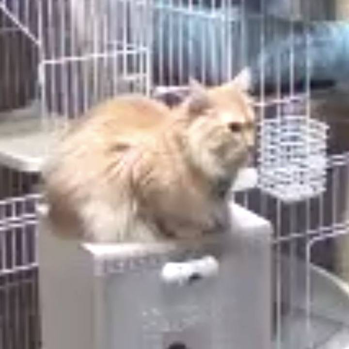 B8b9000c 9679 4ed8 8001 c1de571a9f41 1692792238876