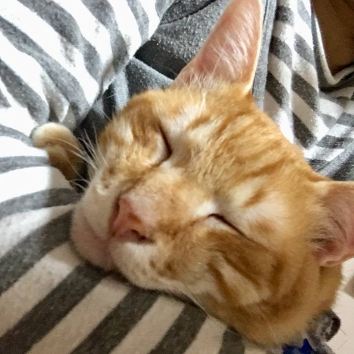 B8b914fa 4001 4149 93c6 091df904c42b 1522940794318