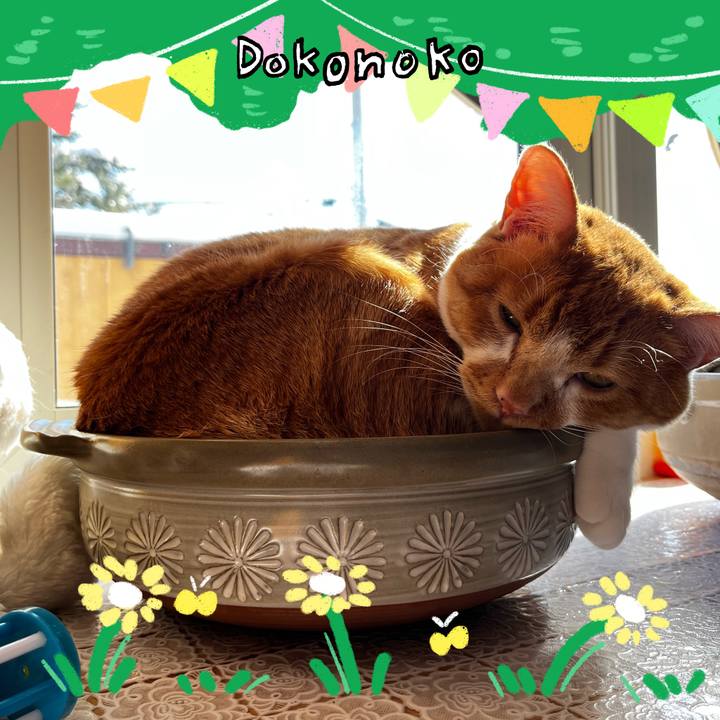 B8b93f9b 8a84 4f25 b1e9 7586b12d6dbf 1711057057069