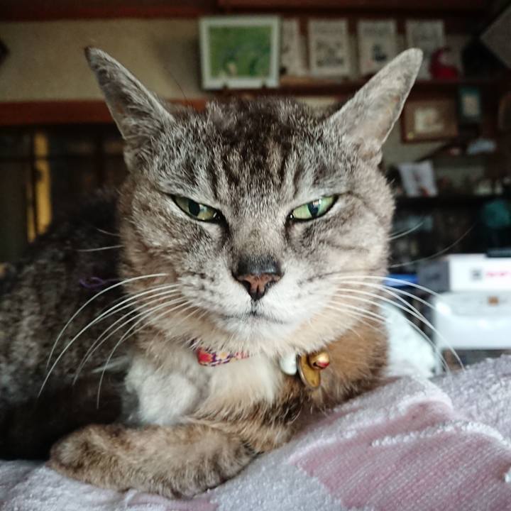 B8b982a5 fe43 460c b3a6 3ffa383a3bad 1592167601546