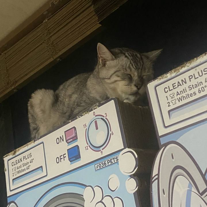 B8b98800 f227 4dea a3d1 86ccbf20e2ae 1722699159586