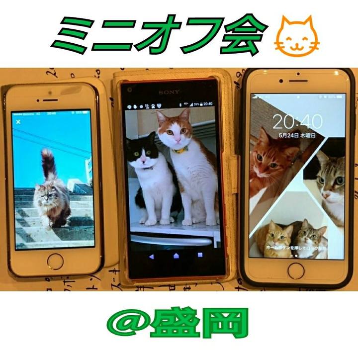 B8b9abbe d139 4095 b54f 23c3392f89fc 1527261904024