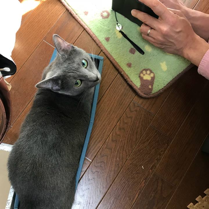 B8b9b998 3d98 4eec a74e e73a0b7281b8 1521948333562