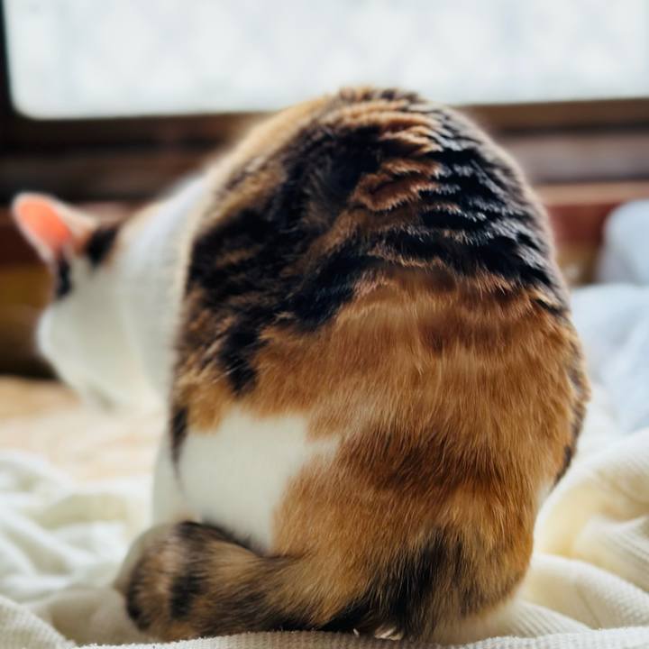 B8b9c7a9 df12 4ea5 b256 13b67a6911bc 1716166896687