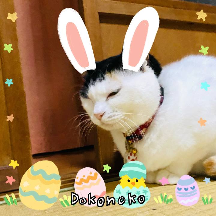 B8b9ca66 2c91 4aff bc87 cefb13c19e2d 1712267639787