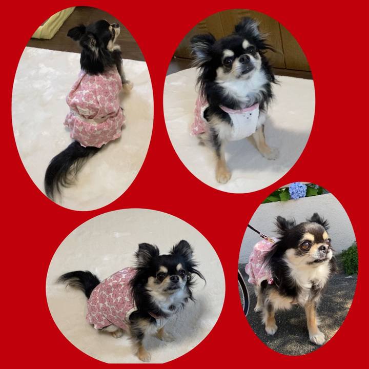 B8b9f412 0298 4fce b6bc 2acf54ca8fd0 1654891704310