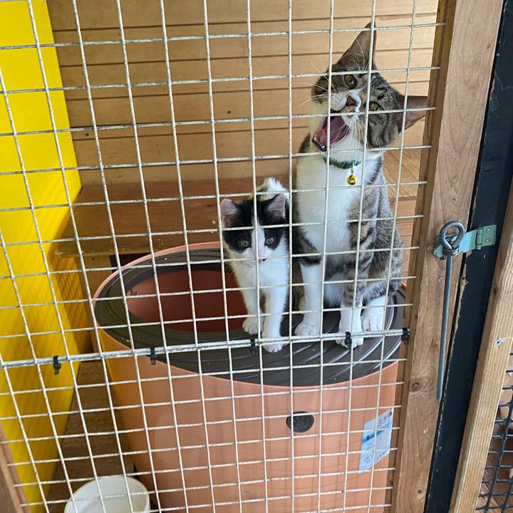 B8ba0418 baad 4077 a565 b702b3254ca8 1653453204554