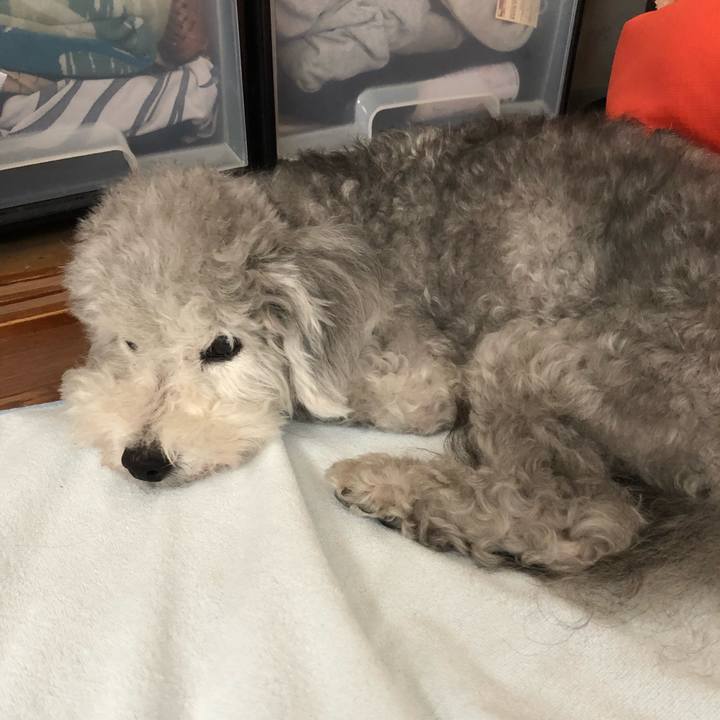 B8ba112c 2fc5 40ee 8627 5ef1b24e1536 1532389522868