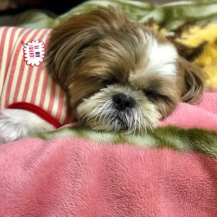 B8ba125d 6f19 447d ae6b d85d4b9f08fa 1540027446406