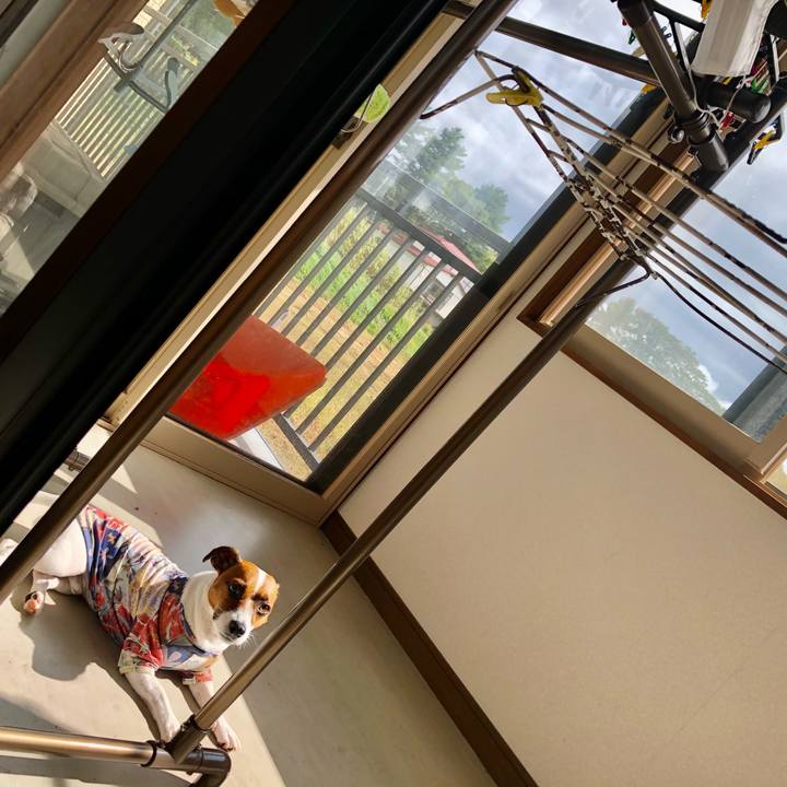 B8ba6468 d747 4a1e a5de c0614a2be635 1601516644200