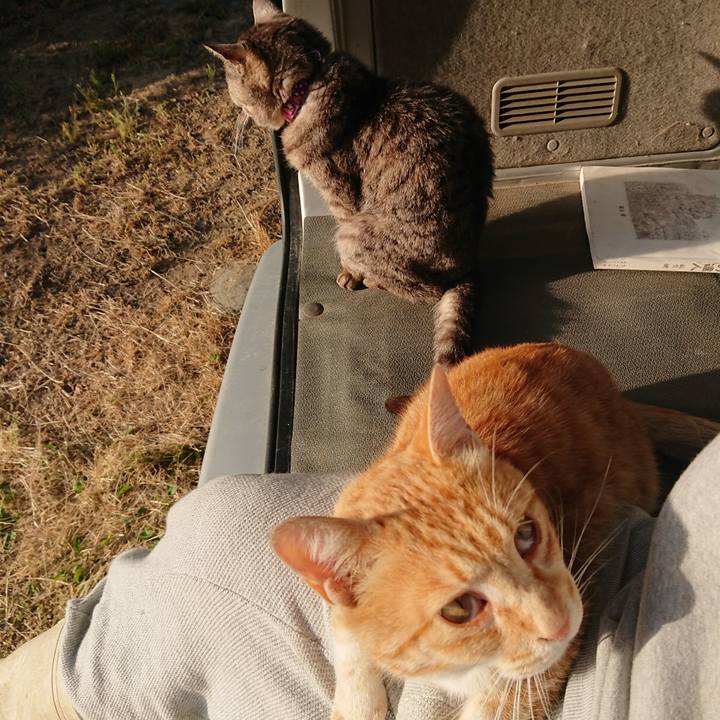 B8ba7c3c aa74 451e 8dc8 db573d443f5a 1591649987098