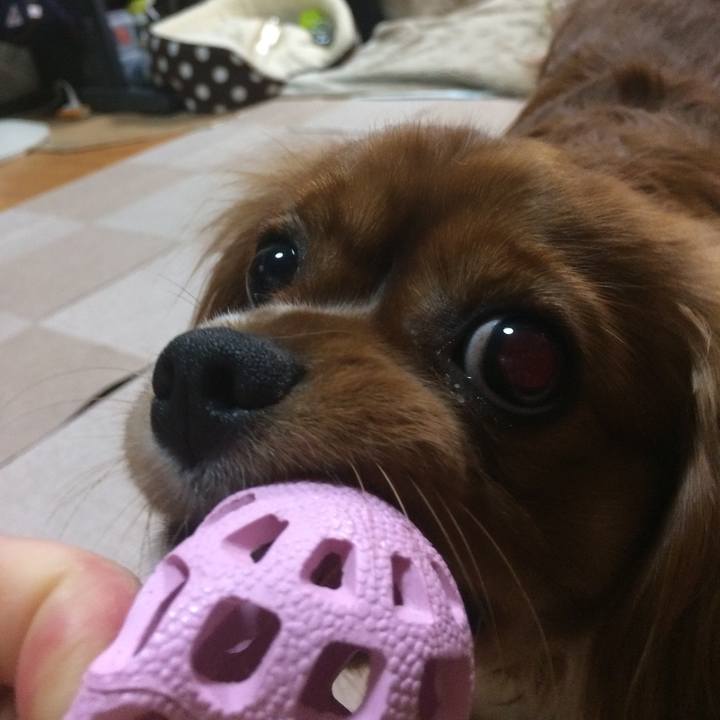 B8ba9689 9e32 41ff 8ace d88bf20c2524 1522707416096