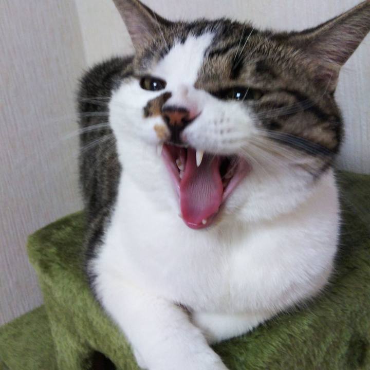 B8baa5ec 9f9b 45cc 875d 5a87ea2789ab 1629153917850