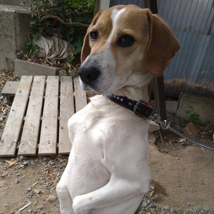 B8baaf57 c83e 4d89 9855 03a4a567d2c8 1618294191670