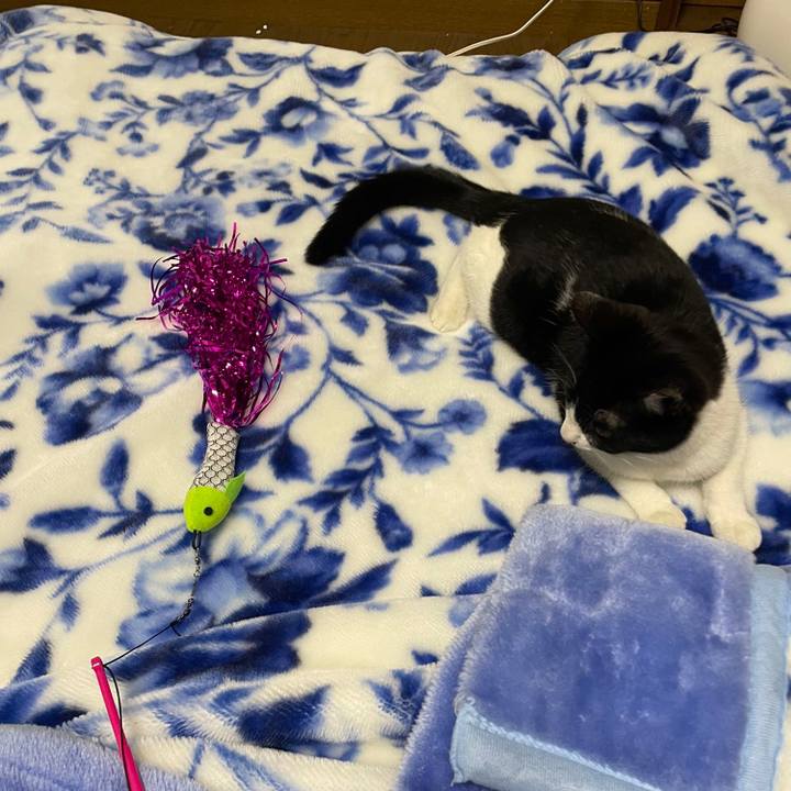 B8bac662 48ca 44f8 9e61 0f05249f82e4 1680171910769